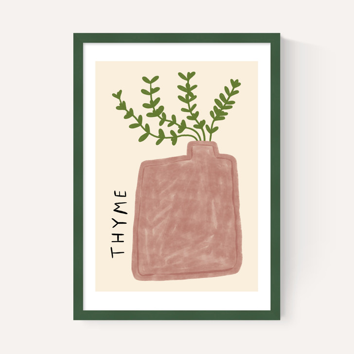 Thyme Plant
