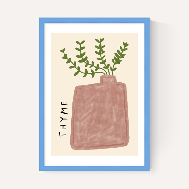 Thyme Plant