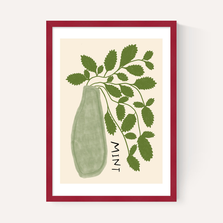 Mint Plant