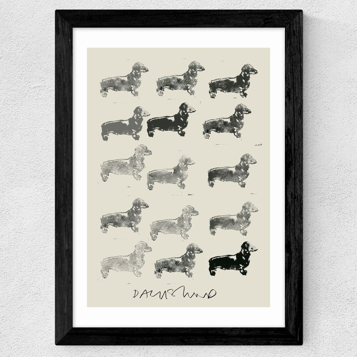 Doxie II Wide Black Frame
