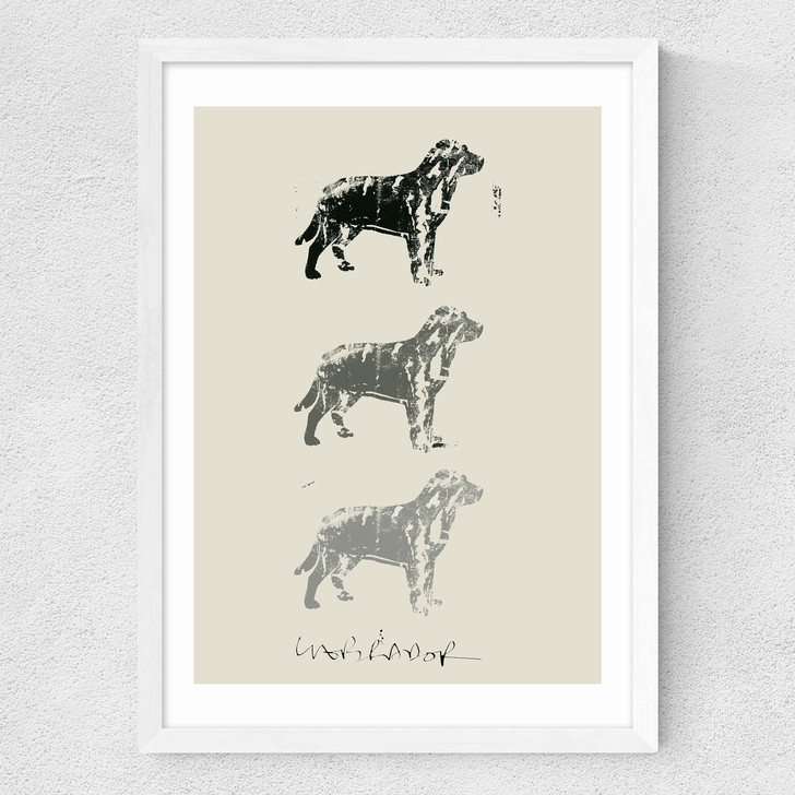 Lab II Medium White Frame