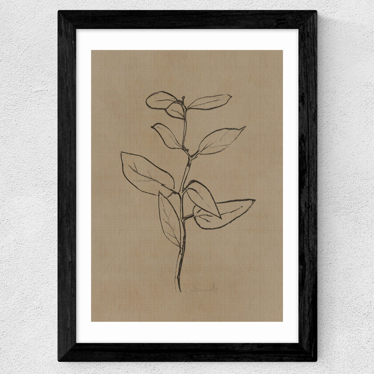 Eucalyptus Sapling Wide Black Frame