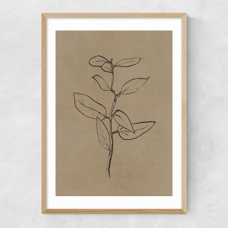 Eucalyptus Sapling Narrow Oak Frame