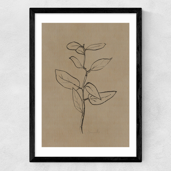 Eucalyptus Sapling Medium Black Frame