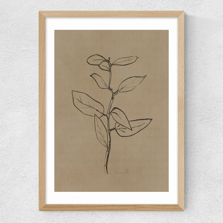 Eucalyptus Sapling Medium Oak Frame
