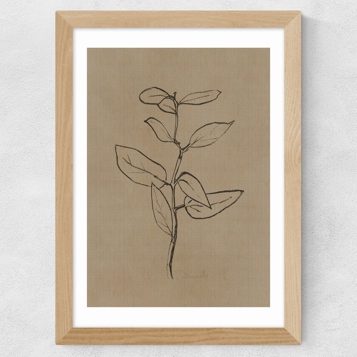 Eucalyptus Sapling Wide Oak Frame