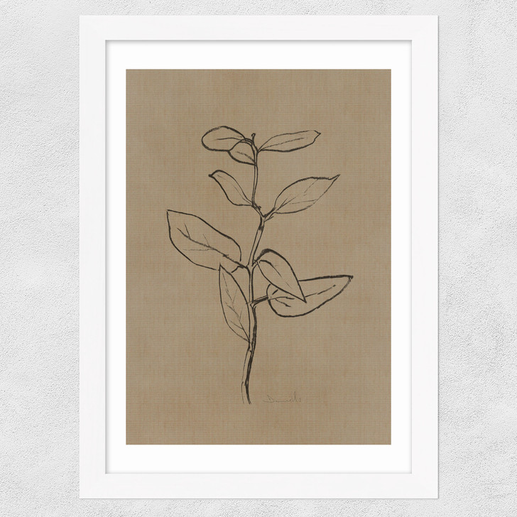 Eucalyptus Sapling Wide White Frame