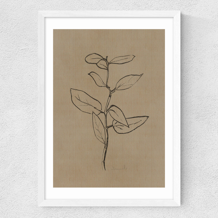 Eucalyptus Sapling Medium White Frame