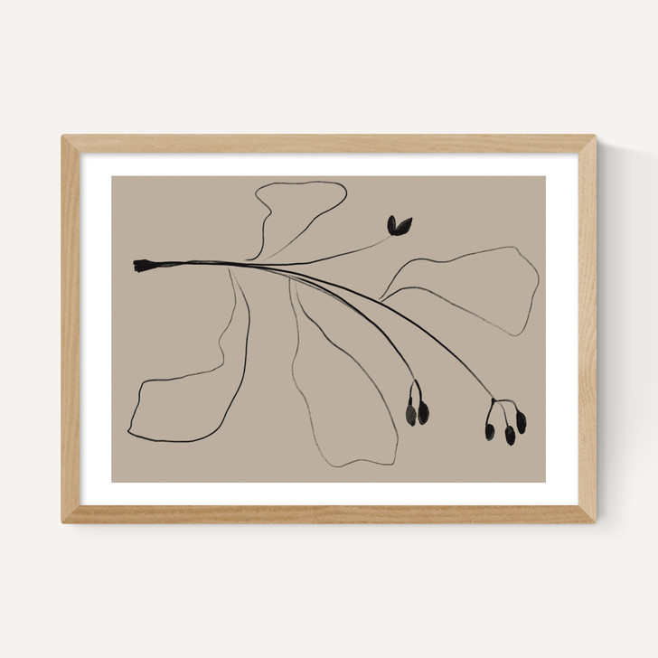 Simply Line Plant