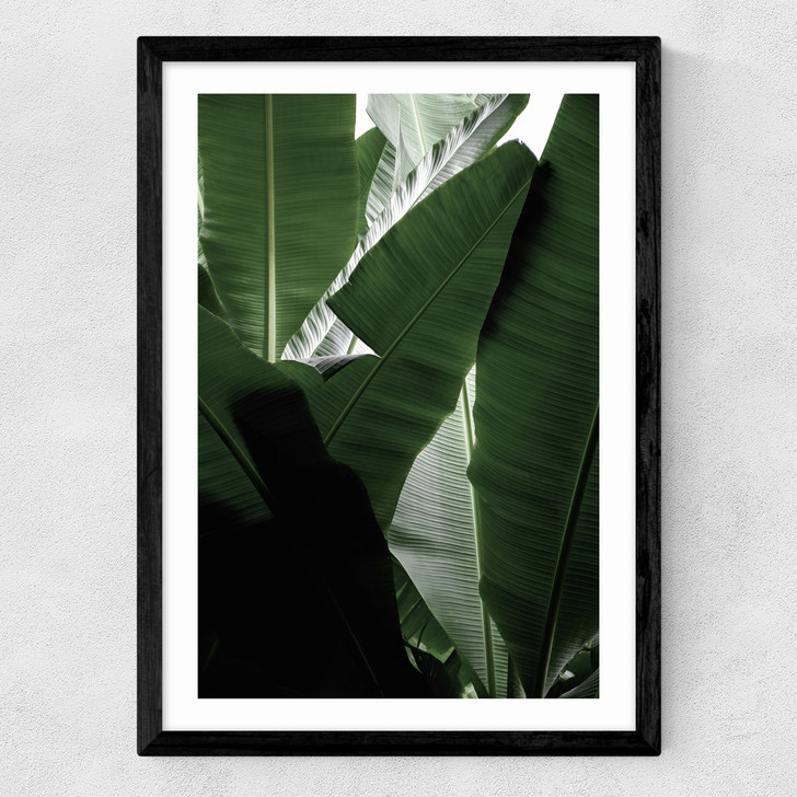 Banana Beach Palm Medium Black Frame