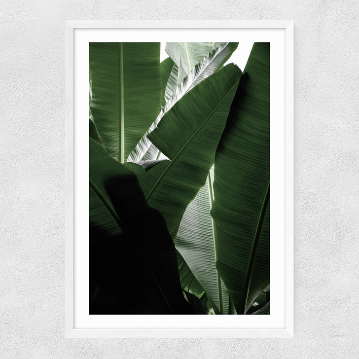 Banana Beach Palm Narrow White Frame