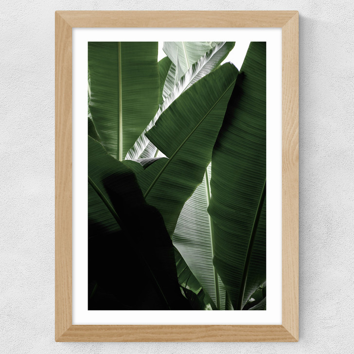 Banana Beach Palm Wide Oak Frame