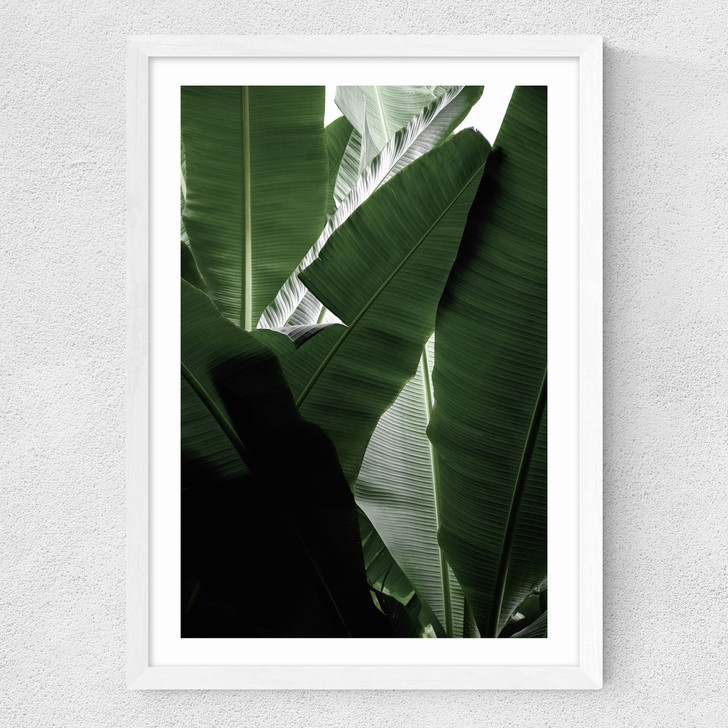 Banana Beach Palm Medium White Frame