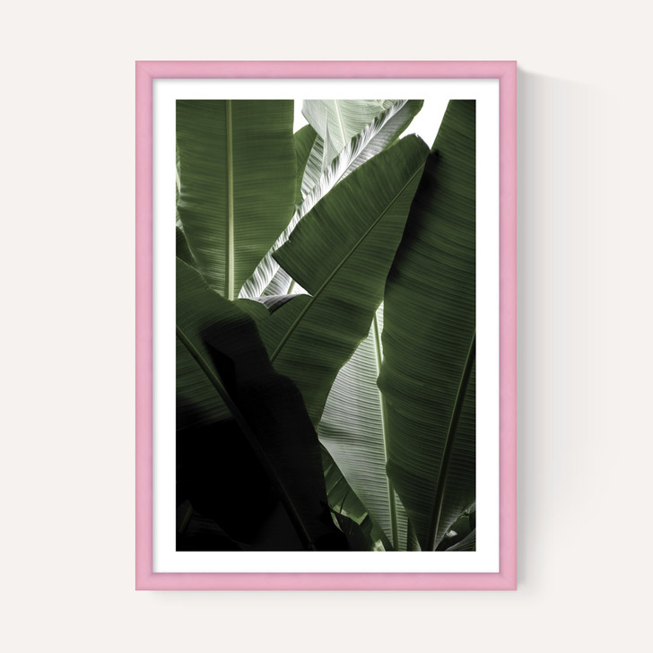 Banana Beach Palm