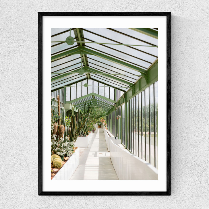 Botanical Garden Paris Narrow Black Frame