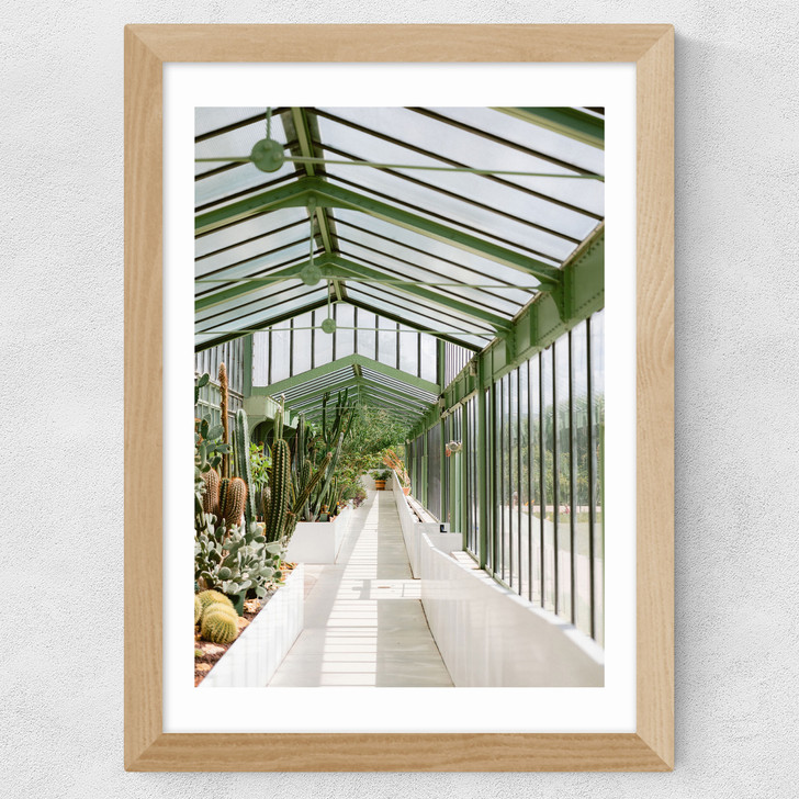 Botanical Garden Paris Wide Oak Frame