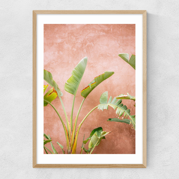 Marrakech Palms Narrow Oak Frame