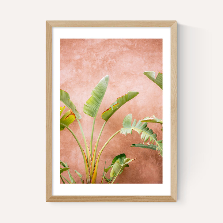 Marrakech Palms