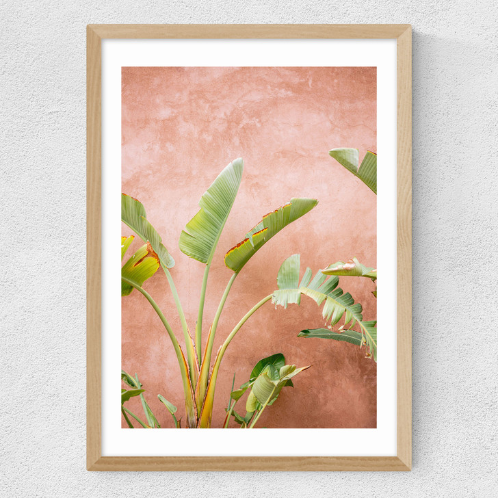 Marrakech Palms Medium Oak Frame