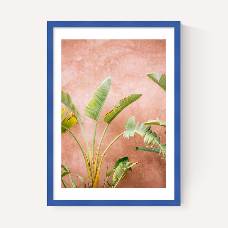 Marrakech Palms