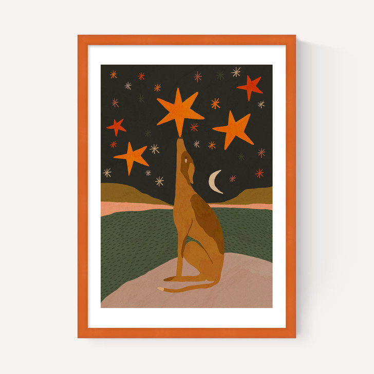 Night Time Dog