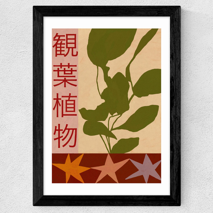House Plants Large Wide Black Frame