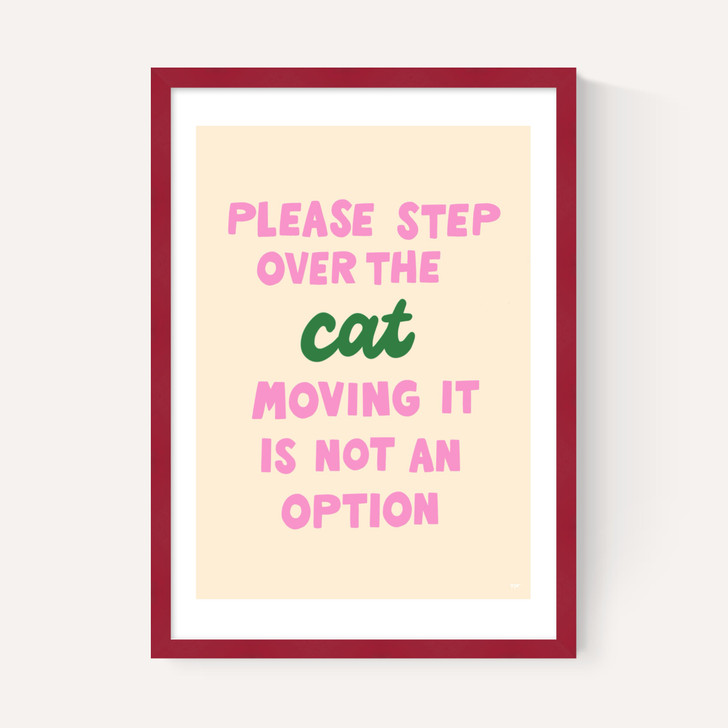 Step Over The Cat