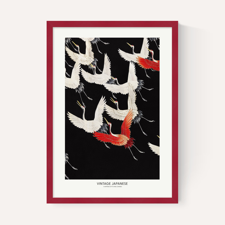 A Myriad of Flying Cranes