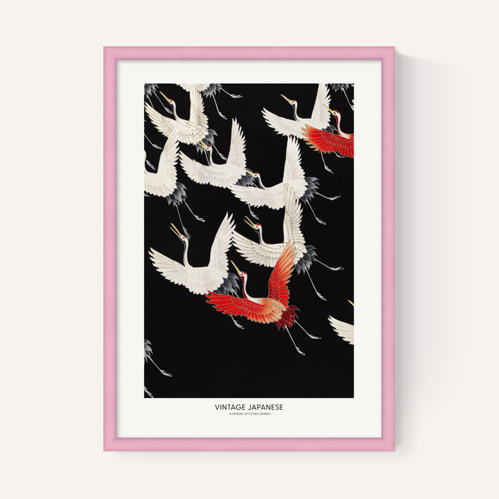 A Myriad of Flying Cranes