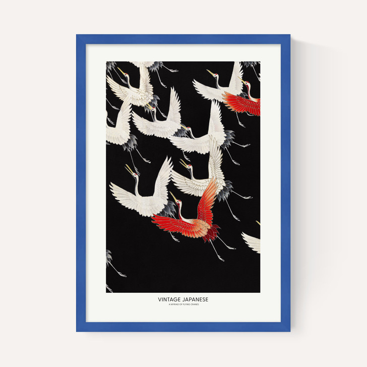 A Myriad of Flying Cranes