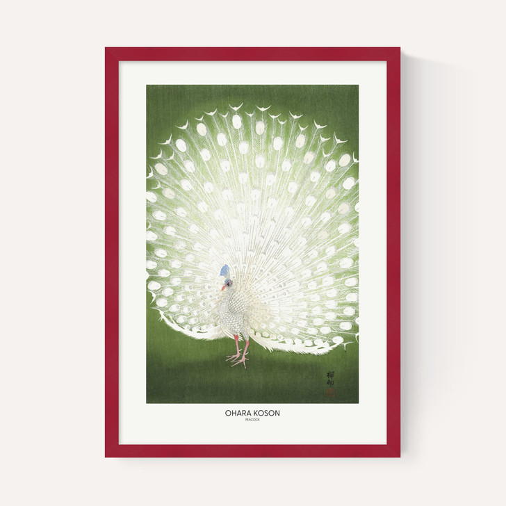 Peacock by Ohara Koson