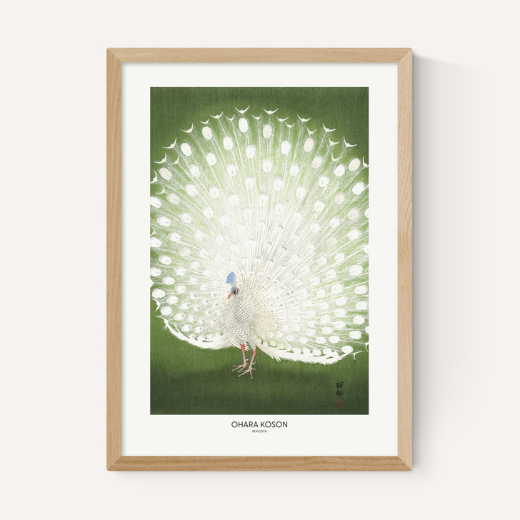 Peacock by Ohara Koson