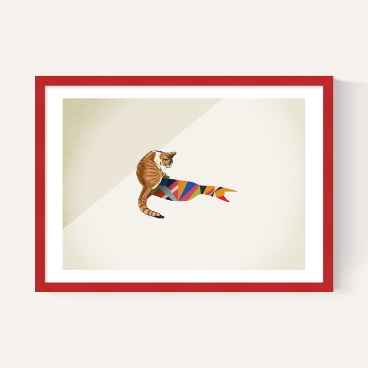 Cat by Jason Ratliff