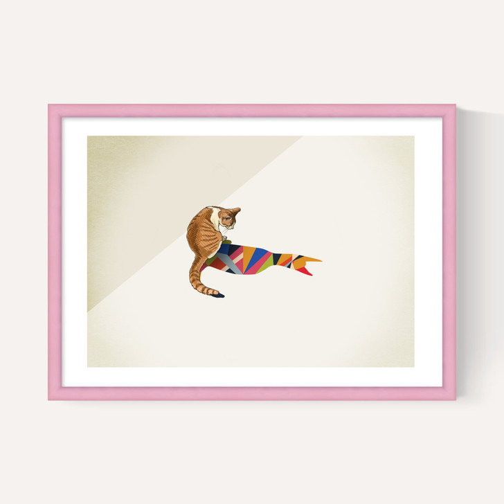 Cat by Jason Ratliff
