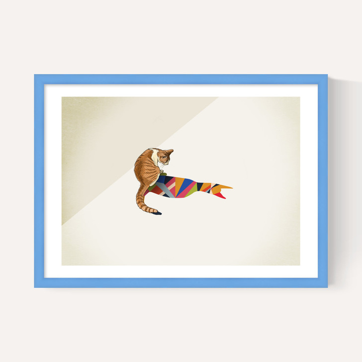 Cat by Jason Ratliff
