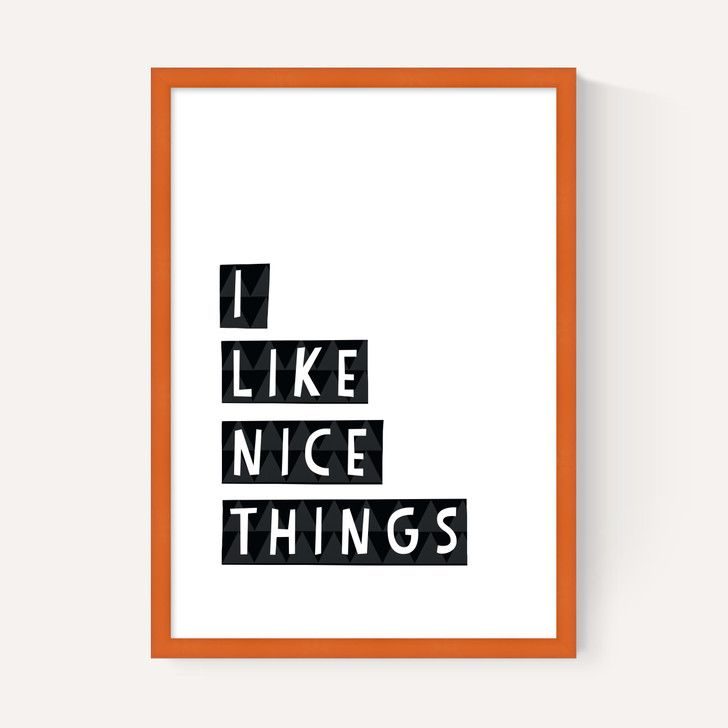 I Like Nice Things