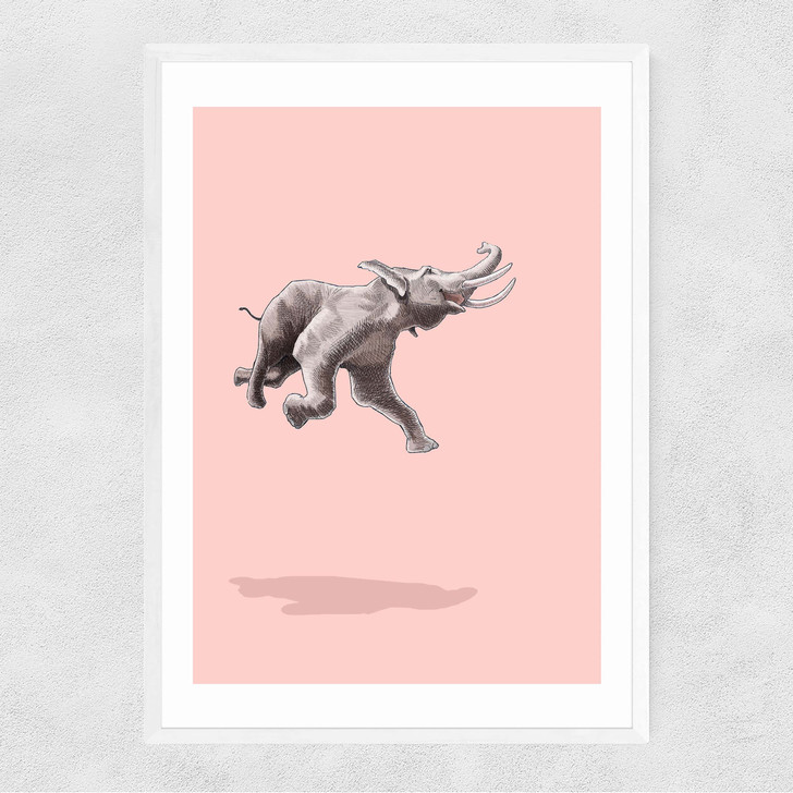 Like a Bird - Float by Jason Ratliff Narrow White Frame