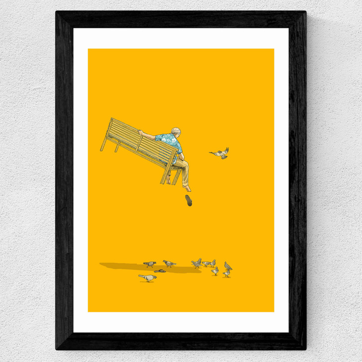 With the Pidgeons - Float by Jason Ratliff Wide Black Frame