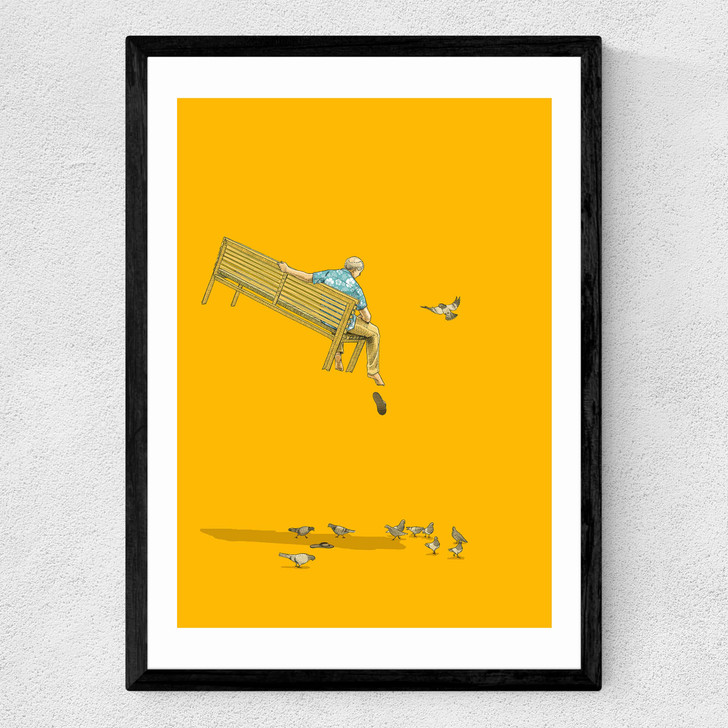 With the Pidgeons - Float by Jason Ratliff Medium Black Frame
