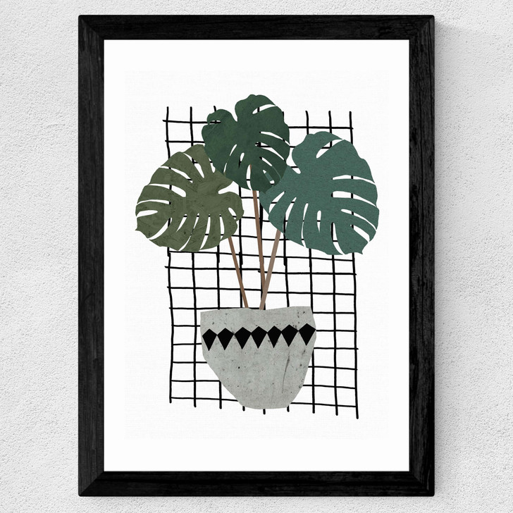 Monstera Wide Black Frame