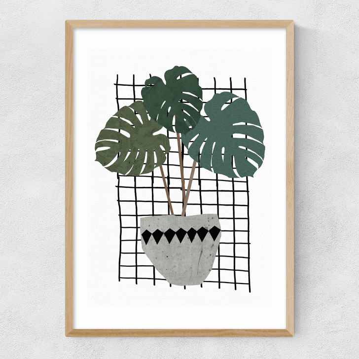 Monstera