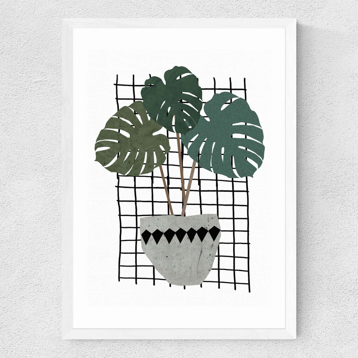 Monstera