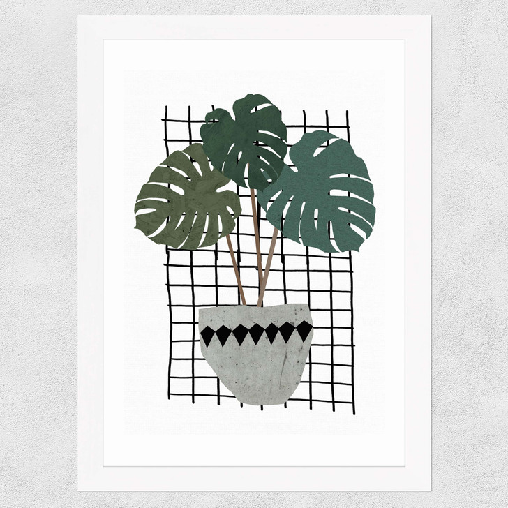 Monstera