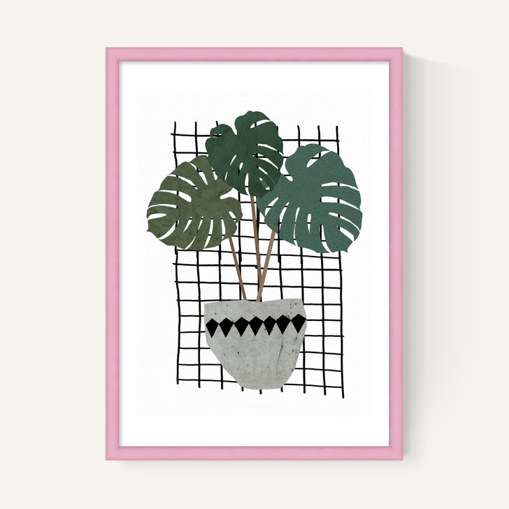 Monstera