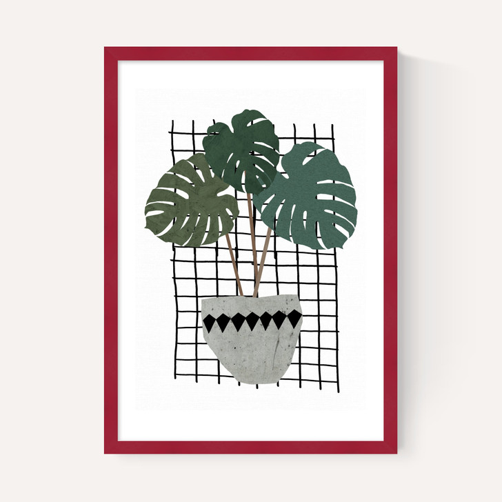 Monstera