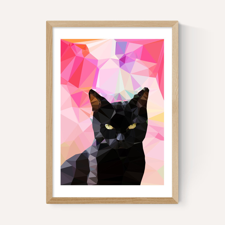 Black Cat