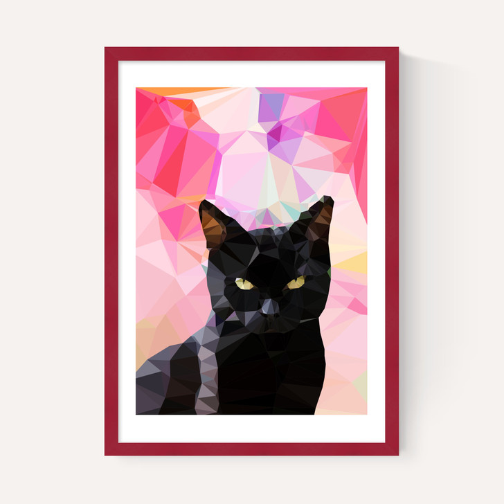 Black Cat