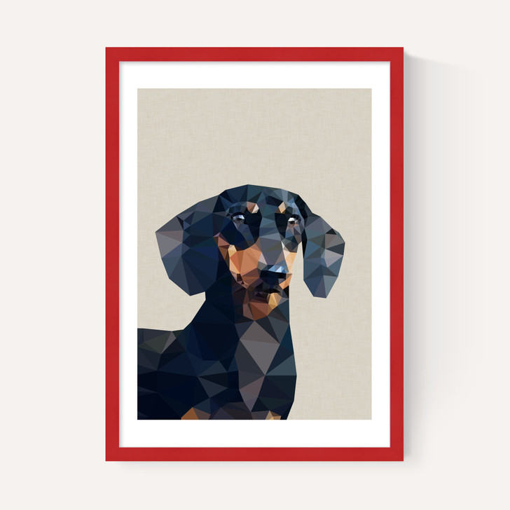 Daschund