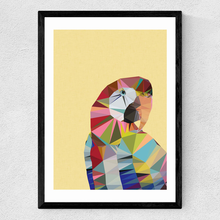Macaw Medium Black Frame Macaw Medium Black Frame