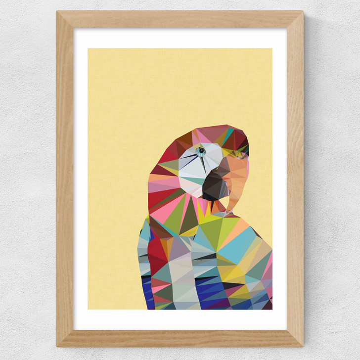 Macaw Wide Oak Frame Macaw Wide Oak Frame